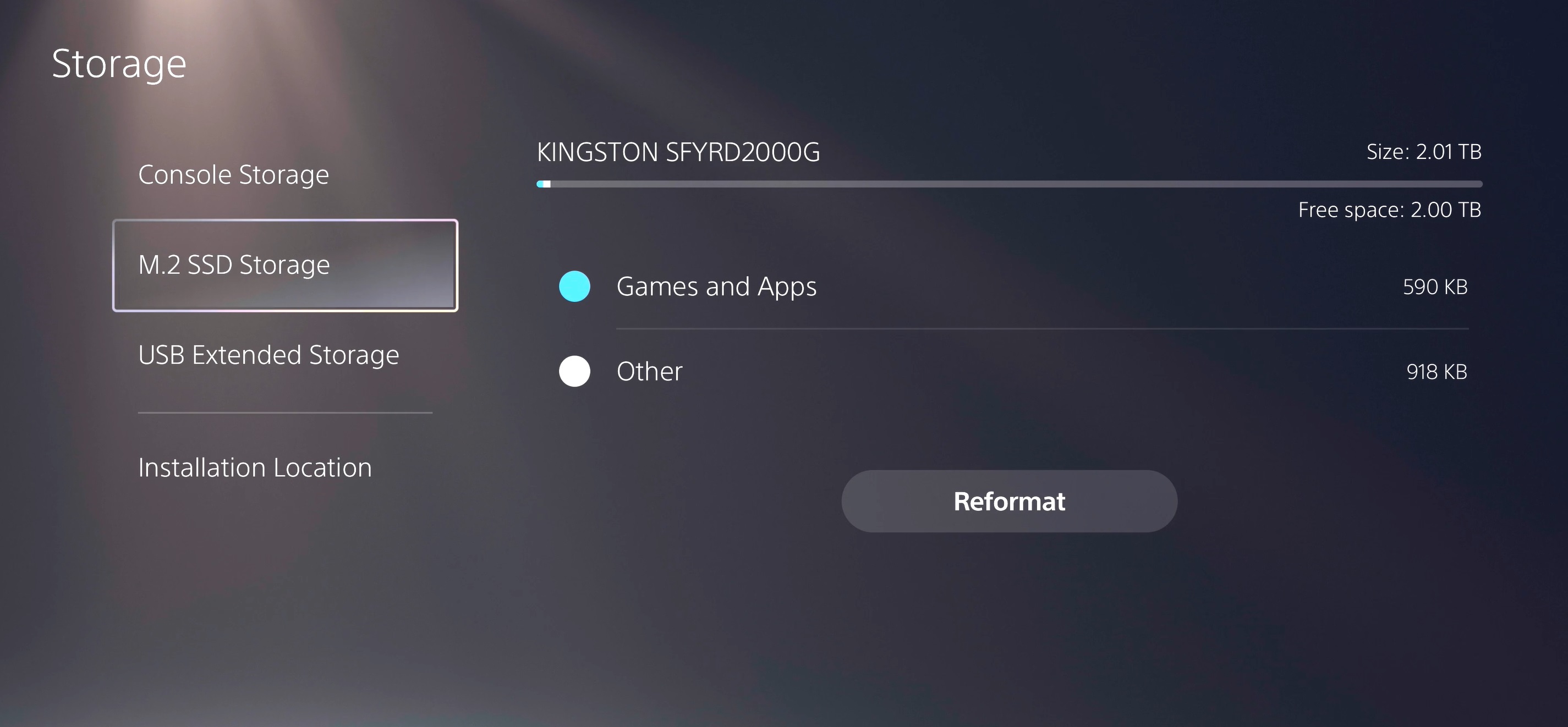 kingston fury Kingston Fury Renegade PS5 Recensione
